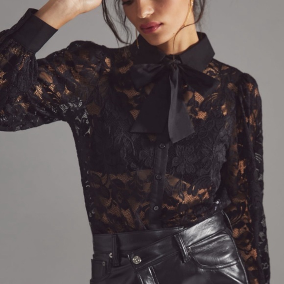 HTF Anthropologie Sheer Lace Blouse - Picture 1 of 6